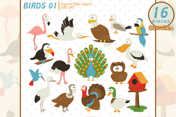 Download Cute Bird Clipart, Tropical Birds - Premium Resources